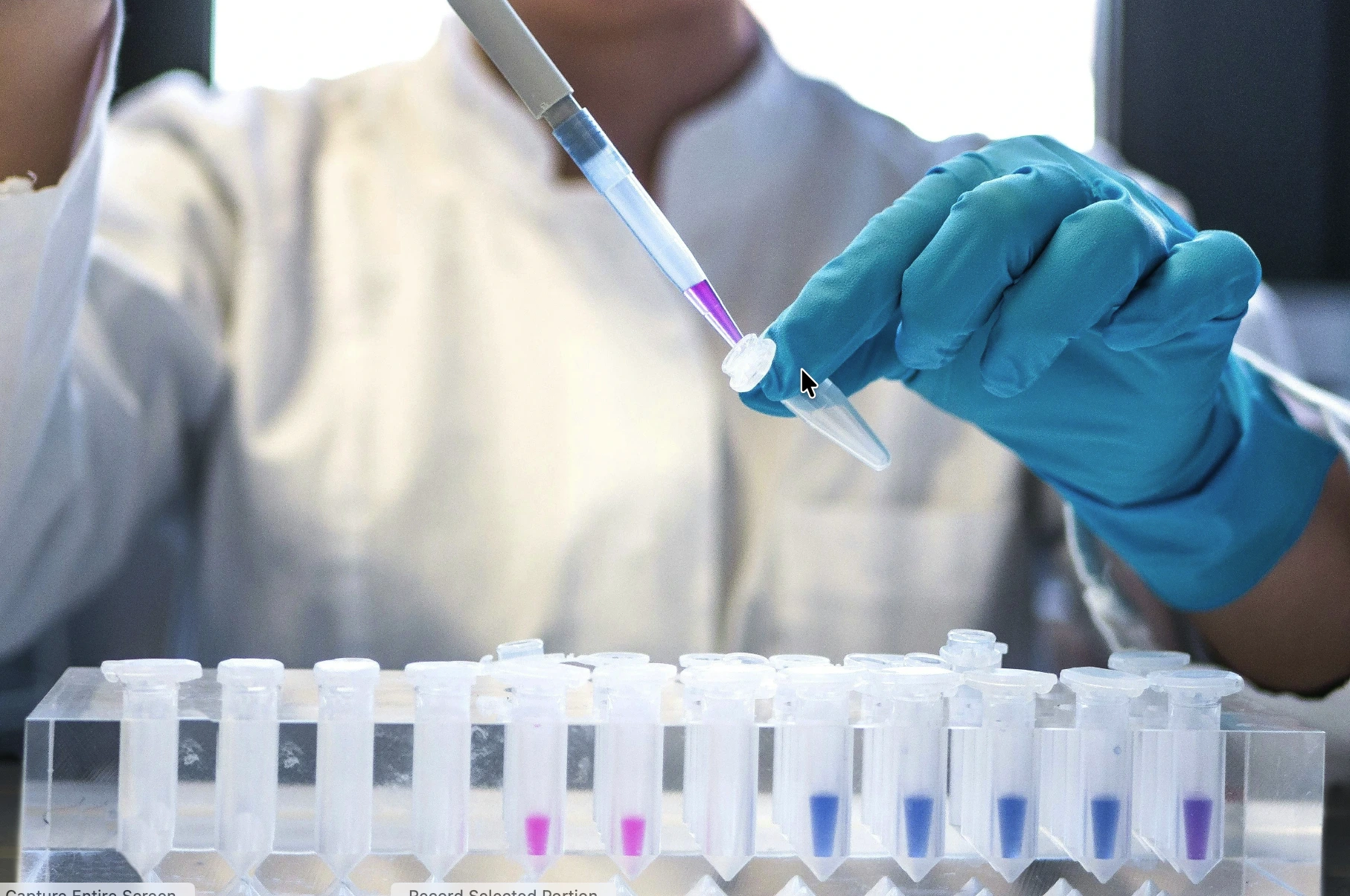 Quality laboratory